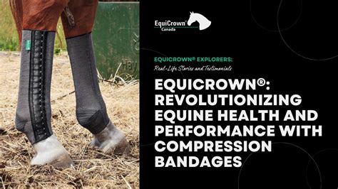 equicrown|equicrown bandagen.